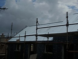 carrowcrory studio-4004.JPG